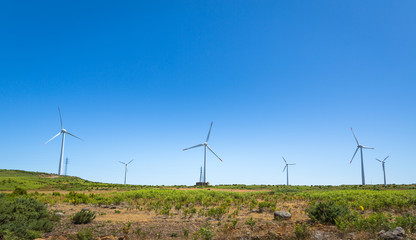 Windmills in the valley