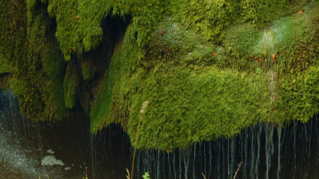 A tilting shot of the very unusual and exquisite Bigar Waterfall, ranked by various renowned publications as the most beautiful waterfall in the world. 