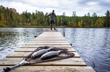 Autumn fly fishing from bridge