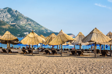 Umbrellas and loungers on the beach