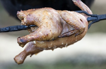 Whole chicken being roasted on an open fire