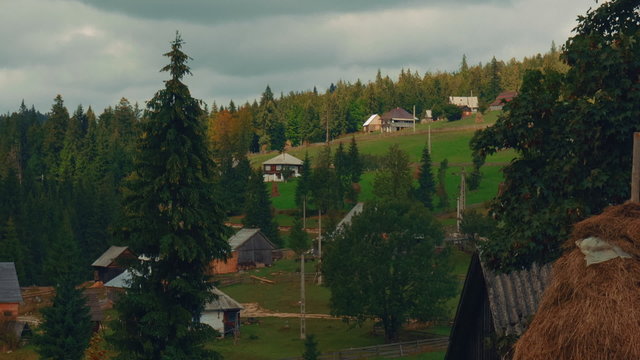 A tilting close-up shot of a pastoral scene in the Romanian countryside on an overcast day
