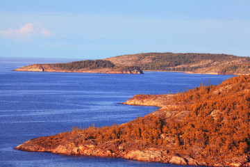 Naklejka premium autumn landscape in nature