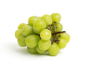 ブドウ　シャインマスカット