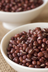 Fototapeta premium Azuki or Adzuki Beans; Non sharpened file
