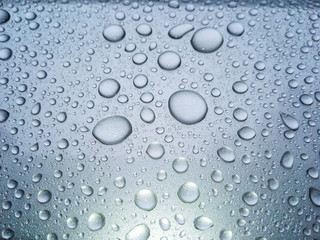 Beauty of the rain drops.