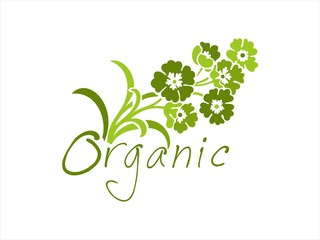 flowers, leaves, plant, icon , nature, Eco friendly business logo