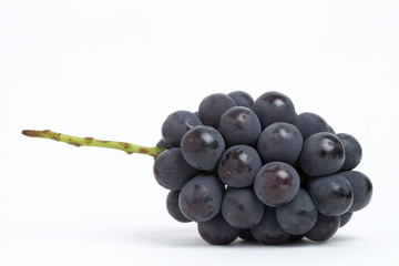  	ブドウ　ニューピオーネ