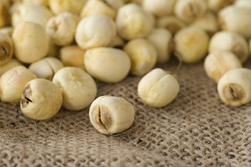 Lotus Seeds; Non sharpened file