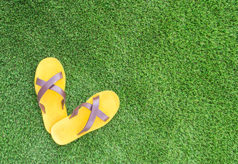 sandal on green grass background