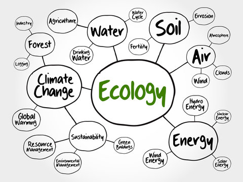 Ecology mind map flowchart concept for presentations and reports