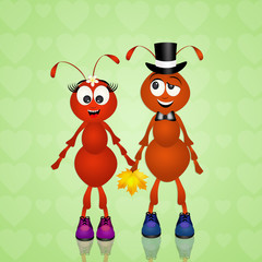 ants in love