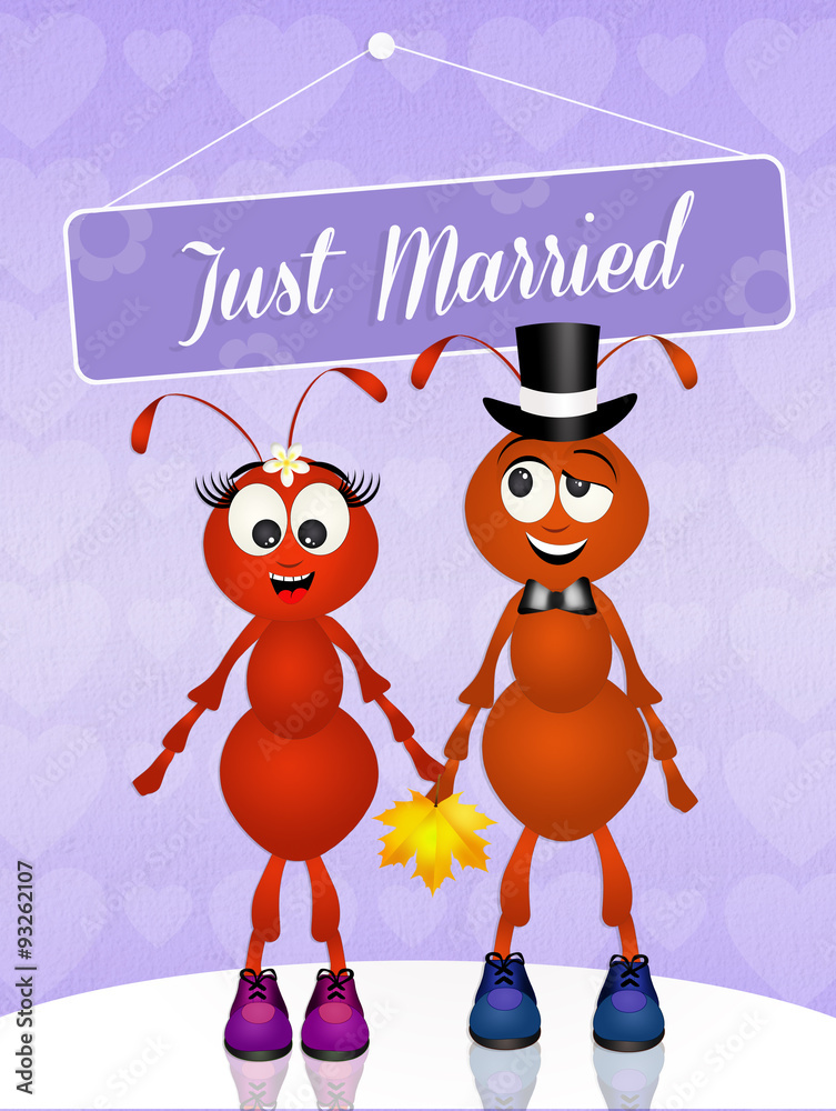 Wall mural ants couple