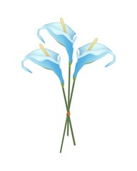 Beautiful Blue Anthurium Bouquet or Flamingo Bouquet