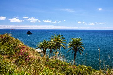 Fototapeta na wymiar Tropical beach ocean view, Funchal, Madeira
