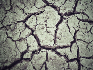 Cracked dry soil