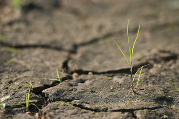 death desert drought stones
