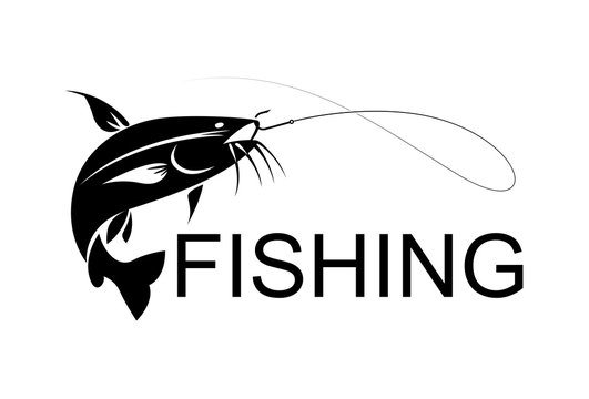 vector fishing catfish