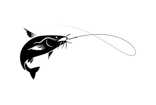 vector fishing catfish