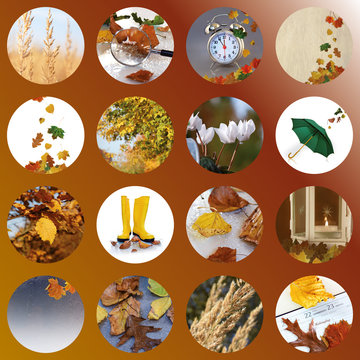 Herbst