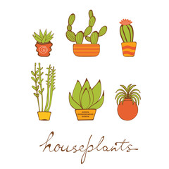 Beautiful set of hand drawn houseplants