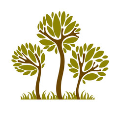 Fototapeta premium Art fairy illustration of tree, eco symbol. Insight vector