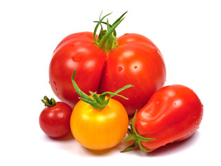Tomaten