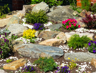 bed flowers and stones