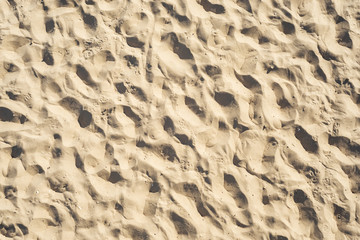 sand on beach as background