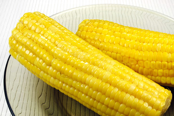Ears of sweet corn
