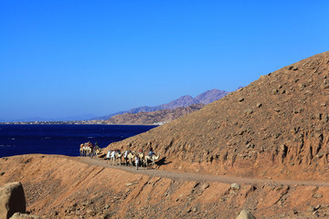 Fototapeta na wymiar Sharm El Sheikh, EGYPT – JUNE 15: escalators caravan of camels in the mountains of Sinai Blue Hall on JUNE 15, 2015, in Sharm El Sheikh, Egypt