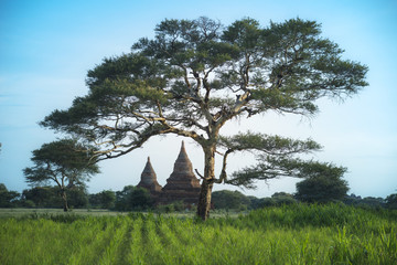 Pagoda en bagan,birmania