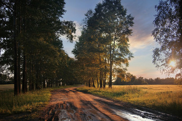 Fototapeta premium old road on the ranch