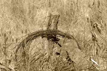 Barbed Wire On the Post