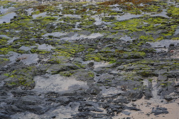 Les vallées de rocher rempli par l'eau