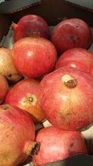 Pomegranate