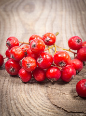 Fresh fruit of hawthorn. The concept of alternative medicine.