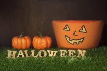 Happy Halloween, Trick or Treat on grass background, nature concept and wood idea
