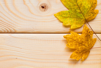 Autumn maple leaves over wooden background with copyspace
