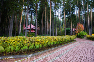 Аллея в парке рядом с красивым домом © plaksik13