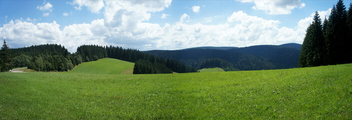 Schwarzwaldidylle/Idylle im Schwarzwald; Panoramablick über Wiesen und Wälder, Berge und Täler,...