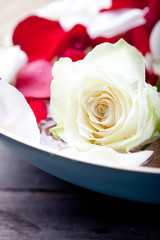 Rose flower petals and buds  in wooden blue bowl