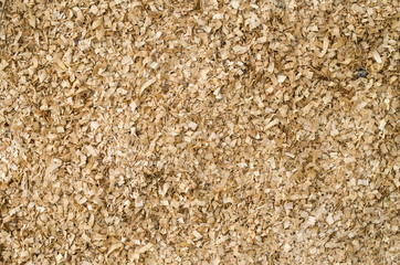 Heap of wooden sawdust closeup