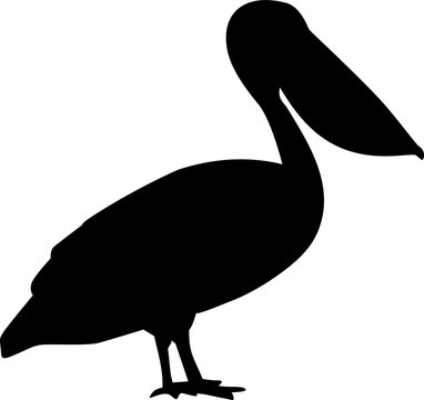 Pelican Bird Silhouette