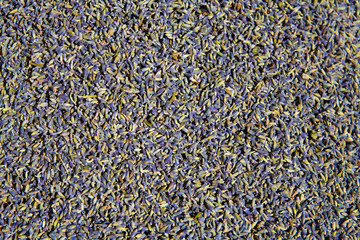 Spice Dried lavender flowers as background