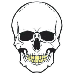 Pirate symbol Jolly Roger skull
vector 