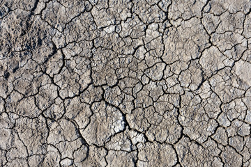 dry cracked earth as a background