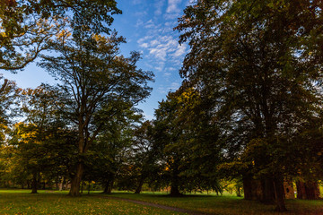 Fototapeta premium Am Doberaner Münster