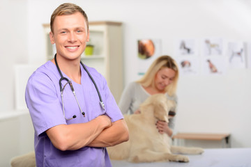 Professional vet examining a dog 