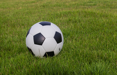 Obraz premium Soccer ball on green field